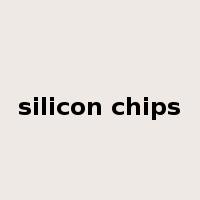 silicon chips是什么意思