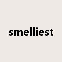 smelliest是什么意思