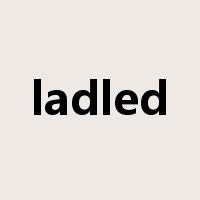 ladled是什么意思
