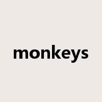 monkeys是什么意思