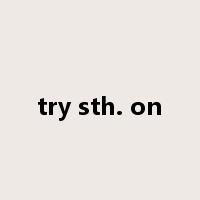 try sth. on是什么意思
