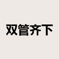 双管齐下是什么意思