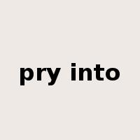pry into是什么意思