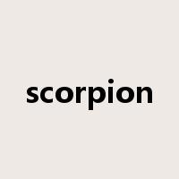 scorpion是什么意思