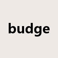 budge是什么意思