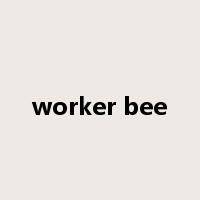 worker bee是什么意思