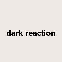 dark reaction是什么意思