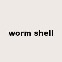 worm shell是什么意思