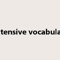 extensive vocabulary是什么意思