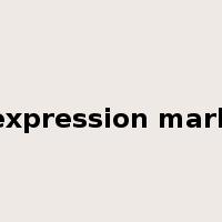 expression mark是什么意思