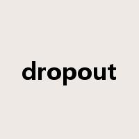 dropout是什么意思