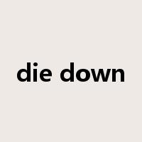 die down是什么意思