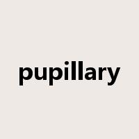 pupillary是什么意思
