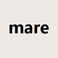 mare是什么意思