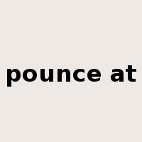 pounce at是什么意思
