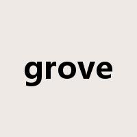 grove是什么意思