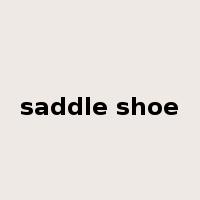 saddle shoe是什么意思