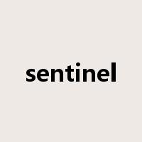sentinel是什么意思