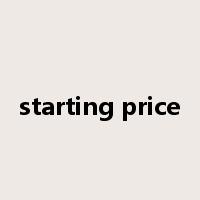 starting price是什么意思