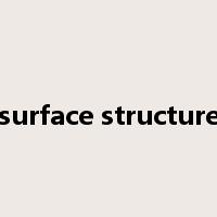 surface structure是什么意思