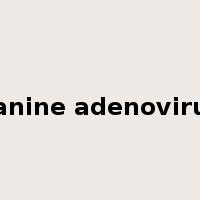 canine adenovirus是什么意思