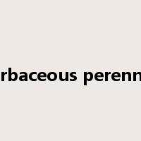 herbaceous perennial是什么意思