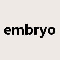 embryo是什么意思