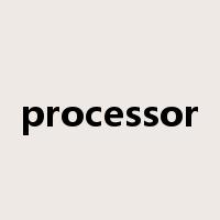 processor是什么意思