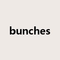 bunches是什么意思