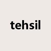 tehsil是什么意思