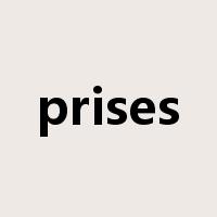 prises是什么意思