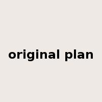 original plan是什么意思
