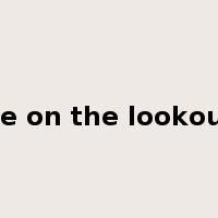 be on the lookout是什么意思