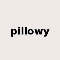 pillowy是什么意思