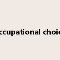 occupational choice是什么意思