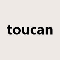 toucan是什么意思