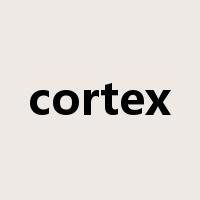 cortex是什么意思