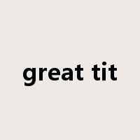great tit是什么意思