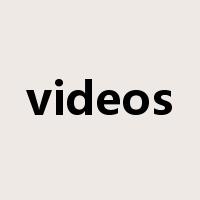 videos是什么意思
