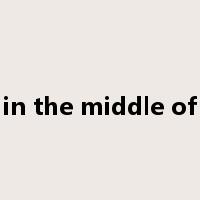 in the middle of是什么意思