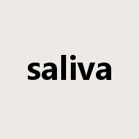 saliva是什么意思