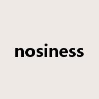 nosiness是什么意思