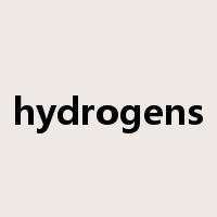 hydrogens是什么意思