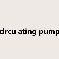 circulating pump是什么意思