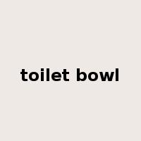 toilet bowl是什么意思