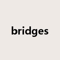 bridges是什么意思