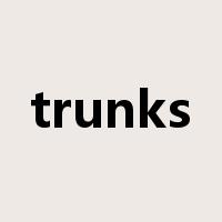trunks是什么意思