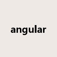 angular是什么意思