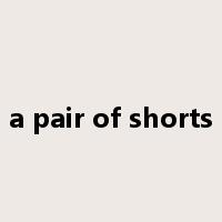 a pair of shorts是什么意思