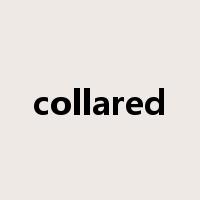 collared是什么意思